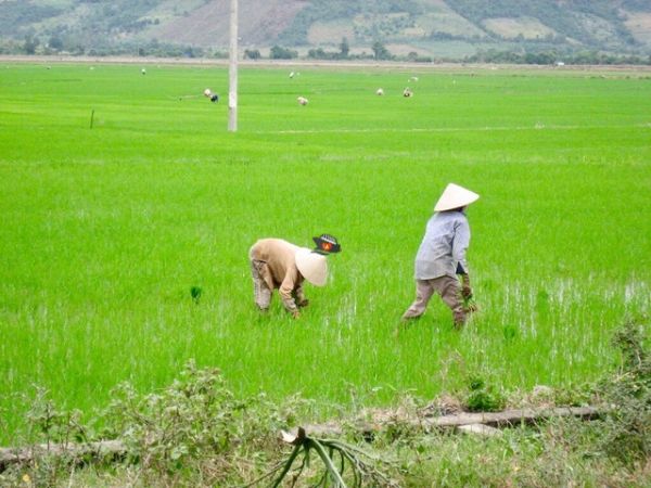 Vietnam Shore Excursions